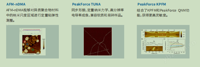 image.png BRUKER原子力显微镜中国代理Dimension Icon